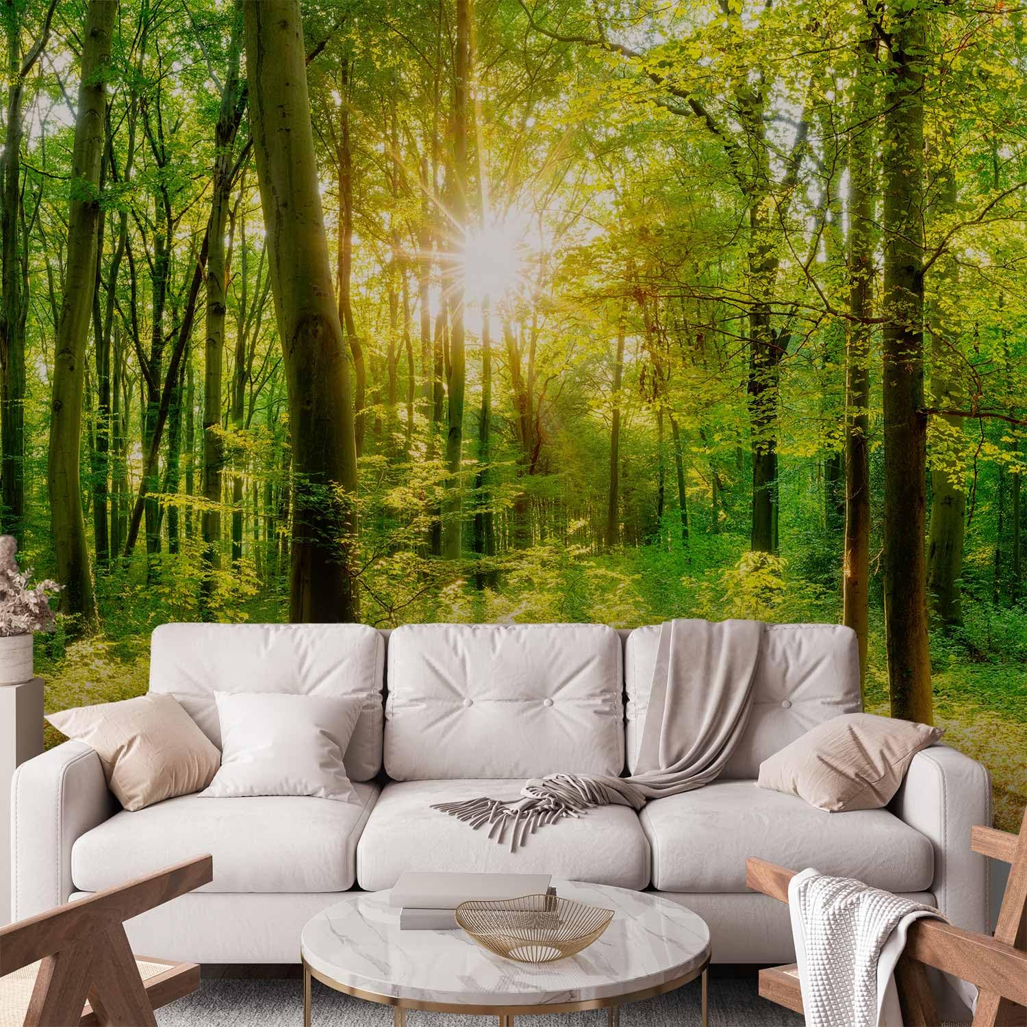 murando Fotomurales Bosque 550x250 cm XXL Papel de esquina Papel pintado | tejido no tejido Decoración de Pared decorativos Murales moderna de Diseno Paisaje Panorama