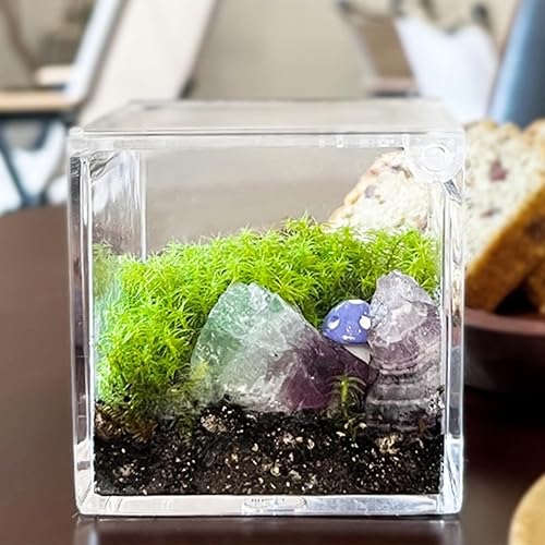 Miniatura 4 de KissYou Caja pequeña de acrílico con tapa transparente con bisagras, soporte para cápsulas de café, cubo cuadrado transparente de Lucite