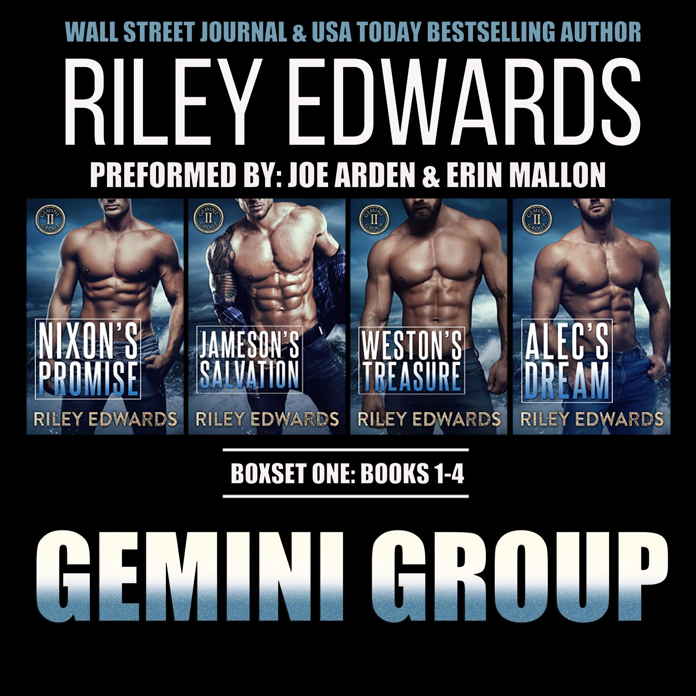 Cover art for Gemini Group Boxset, Books 1-4