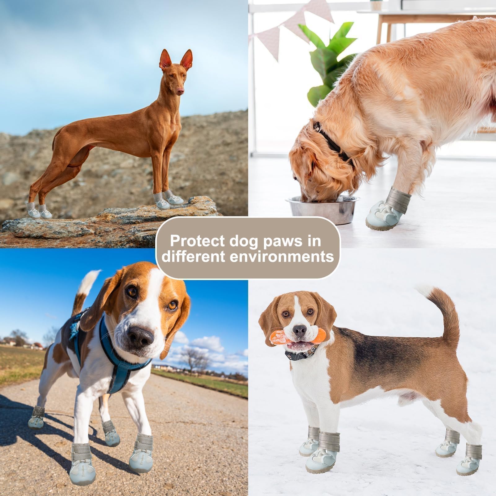 EXPAWLORER Lot de 4 chaussures antidérapantes pour chien - Bottes en maille respirante et protecteurs de pattes avec sangles réfléchissantes pour trottoirs froids et chauds - Planchers en bois dur et