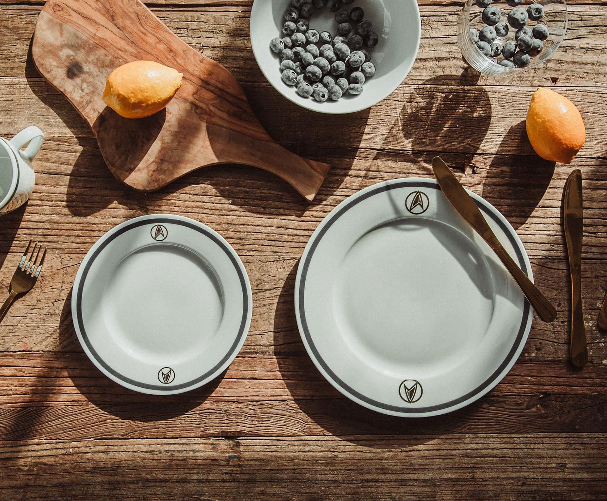 Amazon.com | Star Trek: Picard 25th Century 16-Piece Ceramic