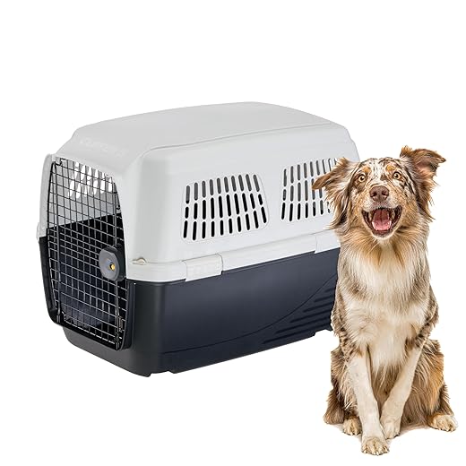 Ferplast Clipper 5 Dog Transport Box, IATA Approved Medium Dog Crate Max 30 kg, 82 x 57 x 60 cm