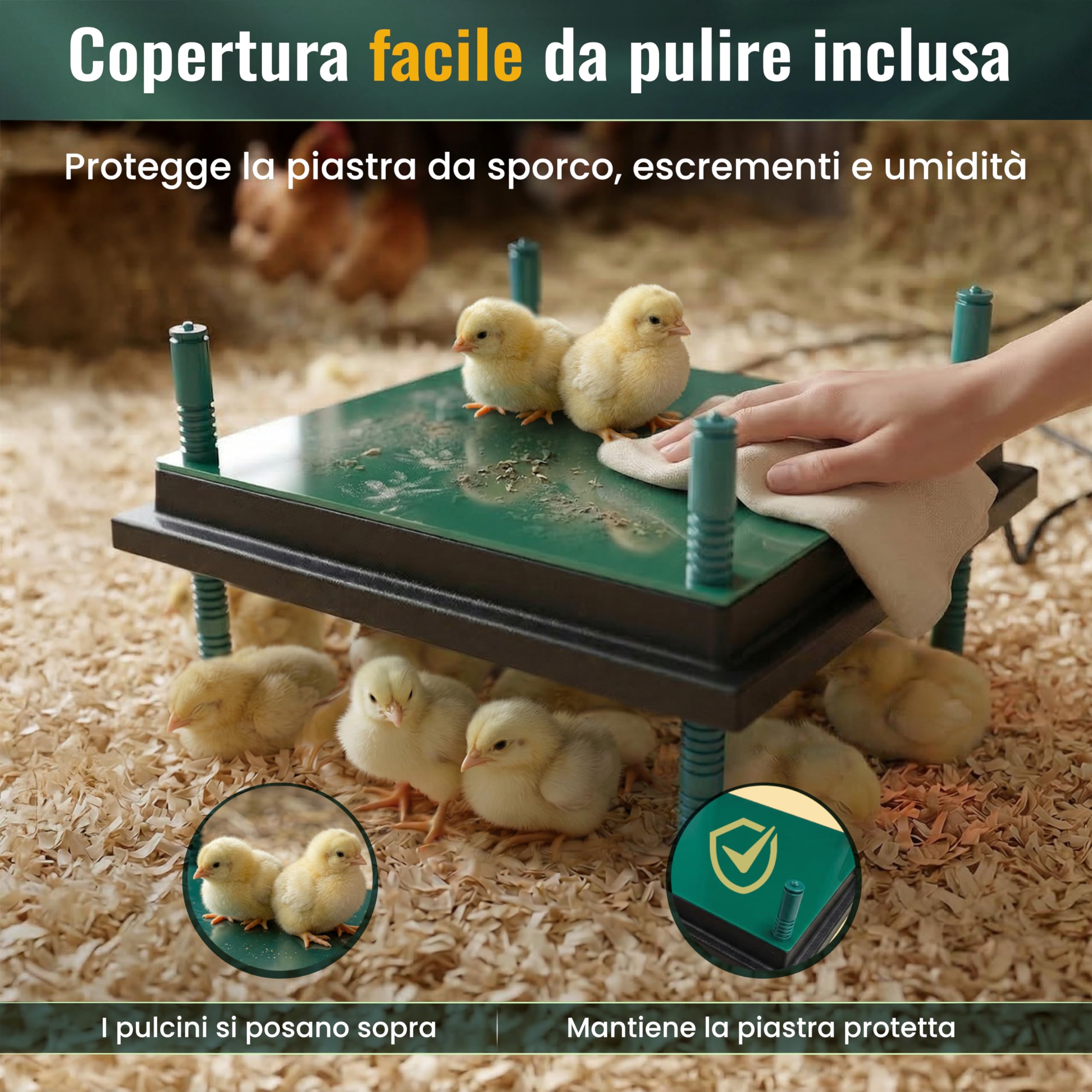 Dural’s® Piastra Riscaldante Pulcini (-80% di Energia) con Copertura - Pannello Allevamento 30W (25-30 Pulcini) - Calore Dolce Anti-Stress (Quadrato: 35x35 cm (capacità 25-30 pulcini))