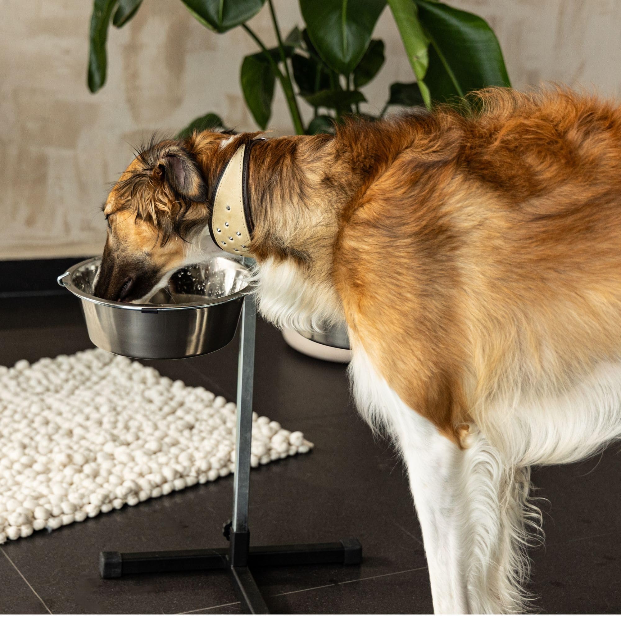 Dingo 17121 - Juego de 2 cuencos para perros en un soporte ajustable, 2 cuencos para perros de 2,83 l