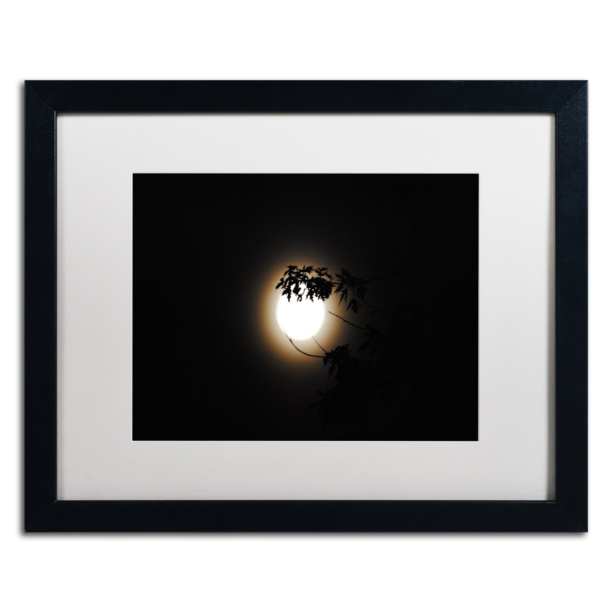 Howl by Monica Mize Frame, 16" x 20", White Matte