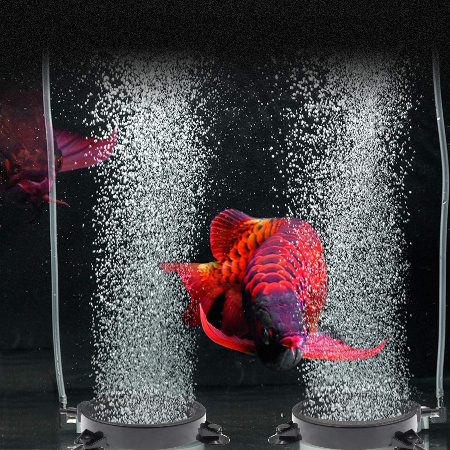 aquarium oxygen diffuser