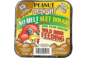 C&S Peanut Delight Suet Dough: Nourishing Wild Birds in All Seasons