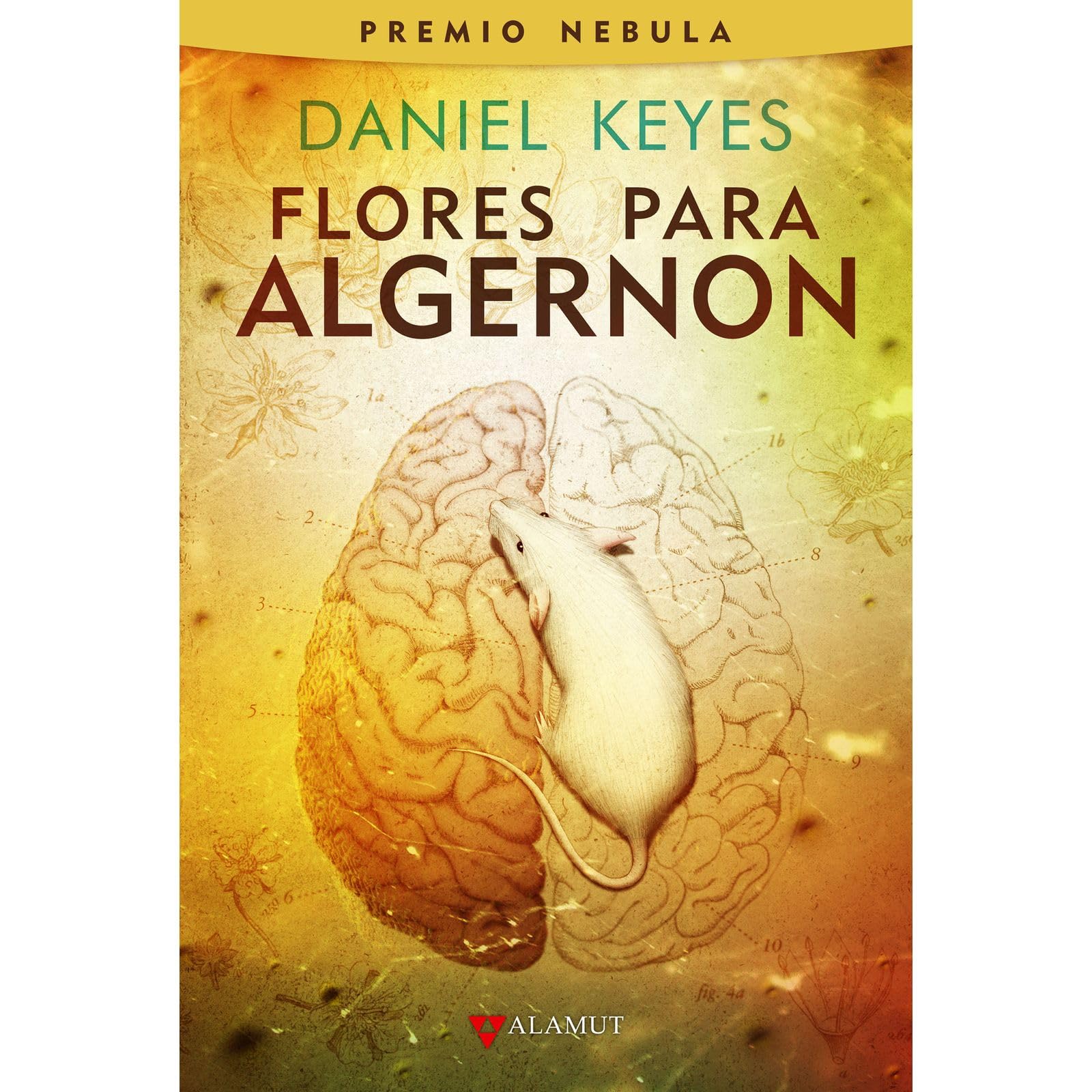 Flores para Algernon