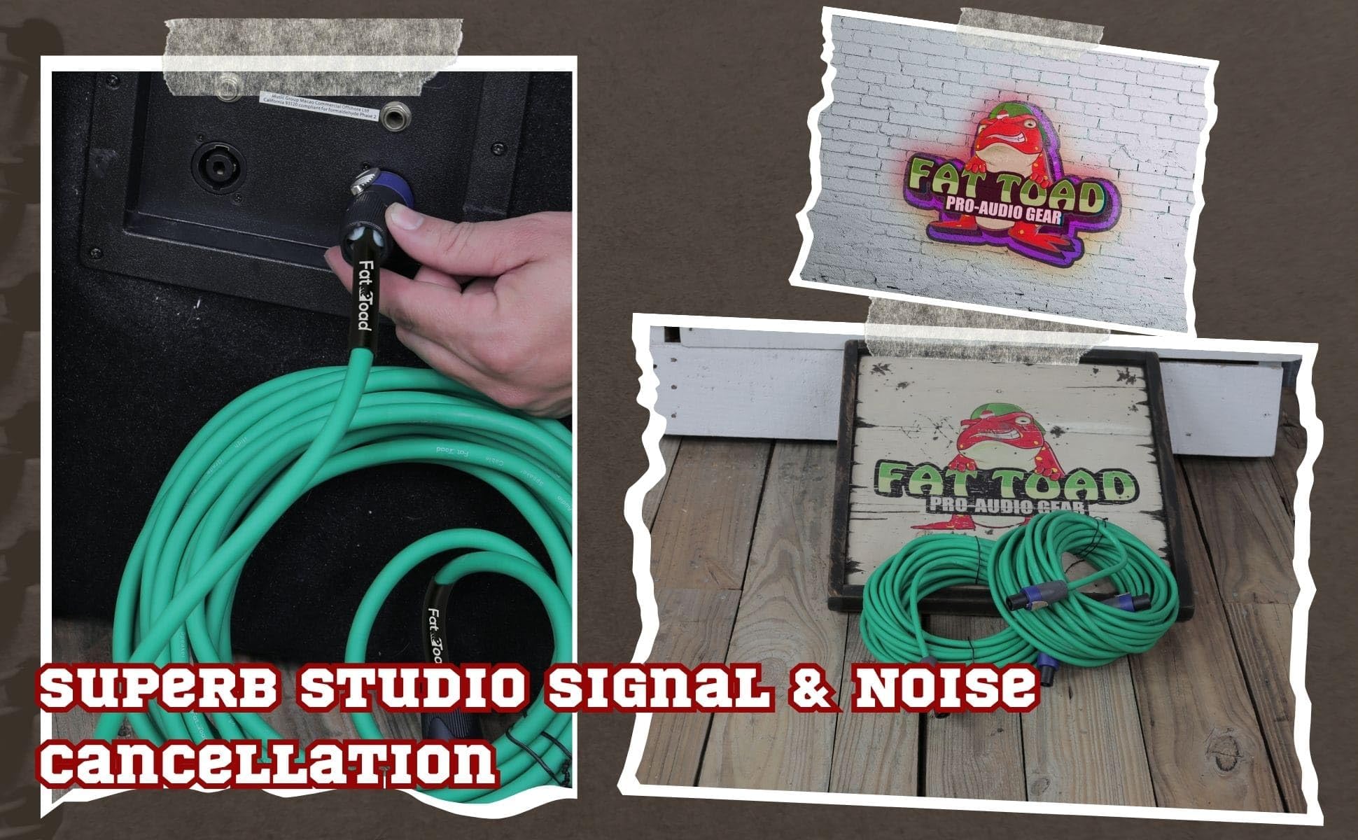 Fat Toad Speakon a Speakon - Cavi audio professionali professionali professionali per altoparlanti, con connettore Twist Lock, 12 AWG, 15,2 m, per registrazioni in studio impeccabili e attrezzature da