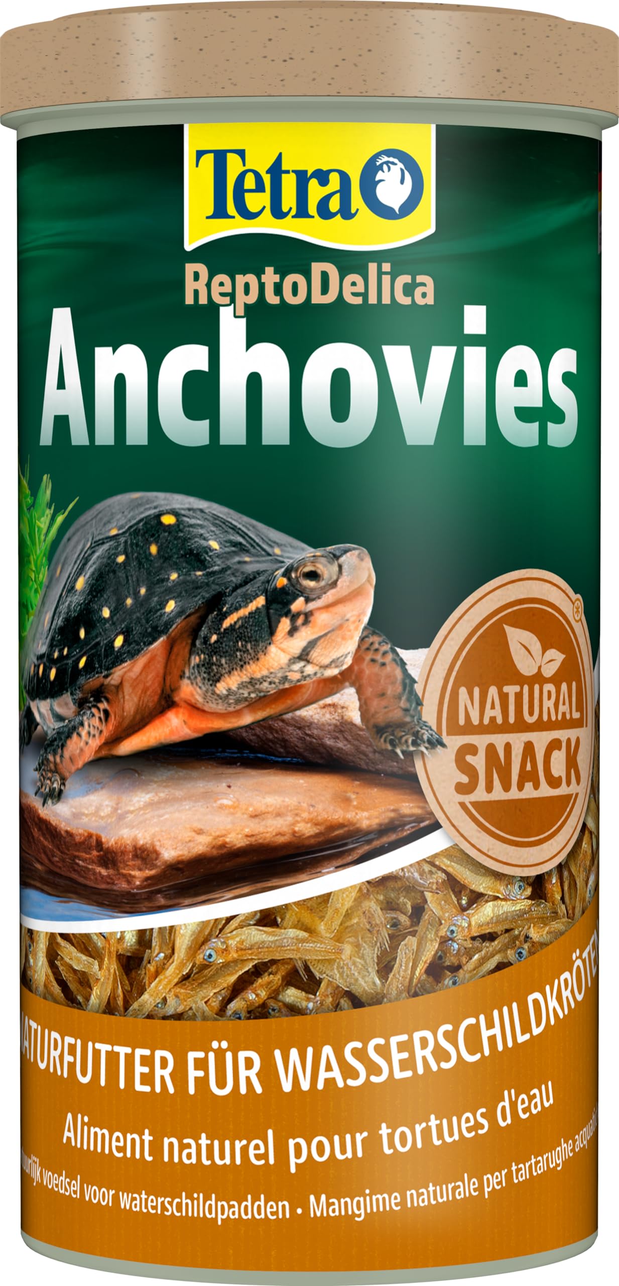 Tetra, anchovies