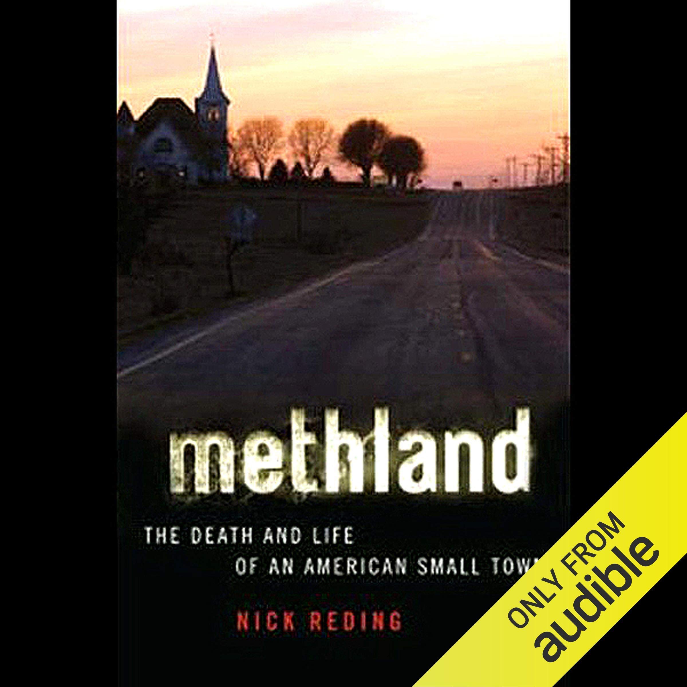 Cover art for Methland