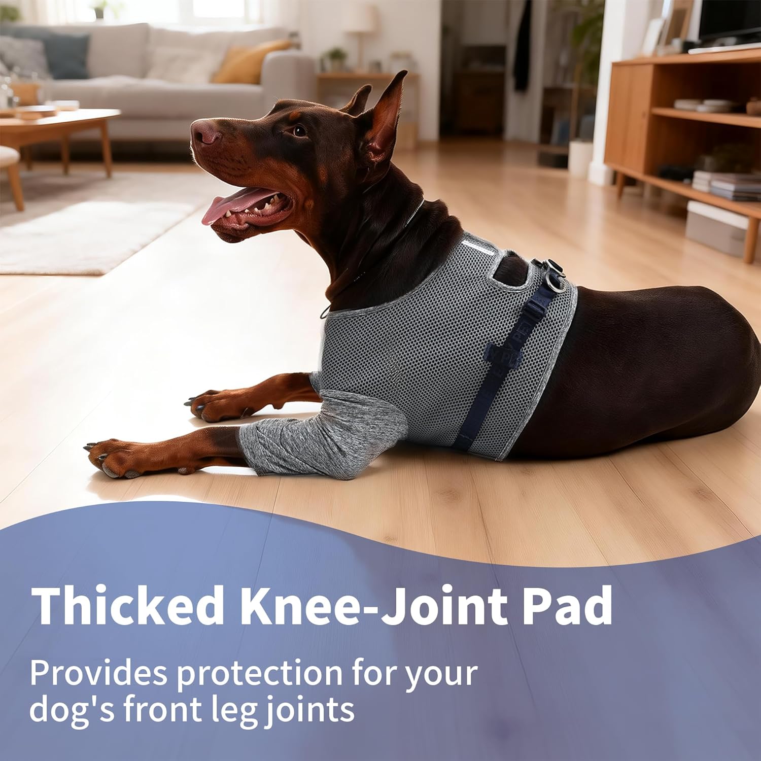 Dog Recovery Sleeves - Soft Dog Surgery Recovery Sui, Breathable & Adjustable Post-Op Vest, Protects Your Dog's Elbows from Chafing and Stop Licking, Summer Cooling Recovery Suit (L)