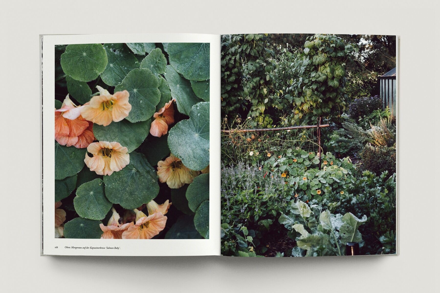 Zu den Wiesen: Vom naturnahen und artenreichen Gärtnern. Ein Gartenporträt. Das neue Buch zum Blog Krautkopf - Deutscher Gartenbuchpreis 2024