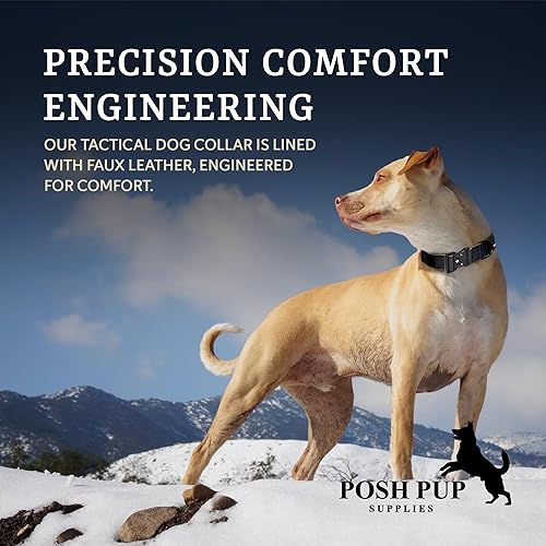 Miniatura 4 de Posh Pup Supplies Collar de perro resistente  Collar de perro de 1.5 pulgadas de grosor  Collar grande de nailon de grado militar duradero para