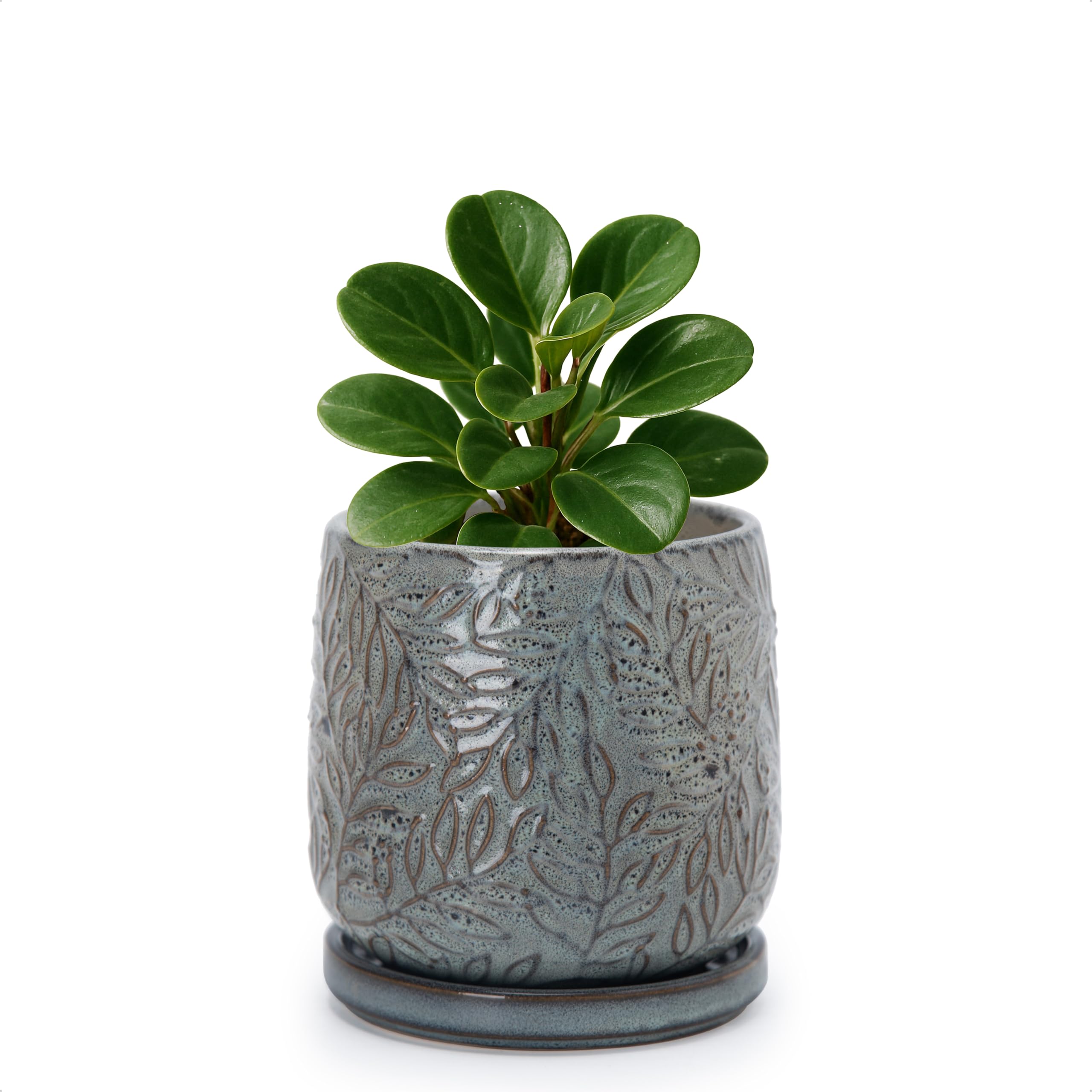 D'vine Dev Embossed Stoneware Planter