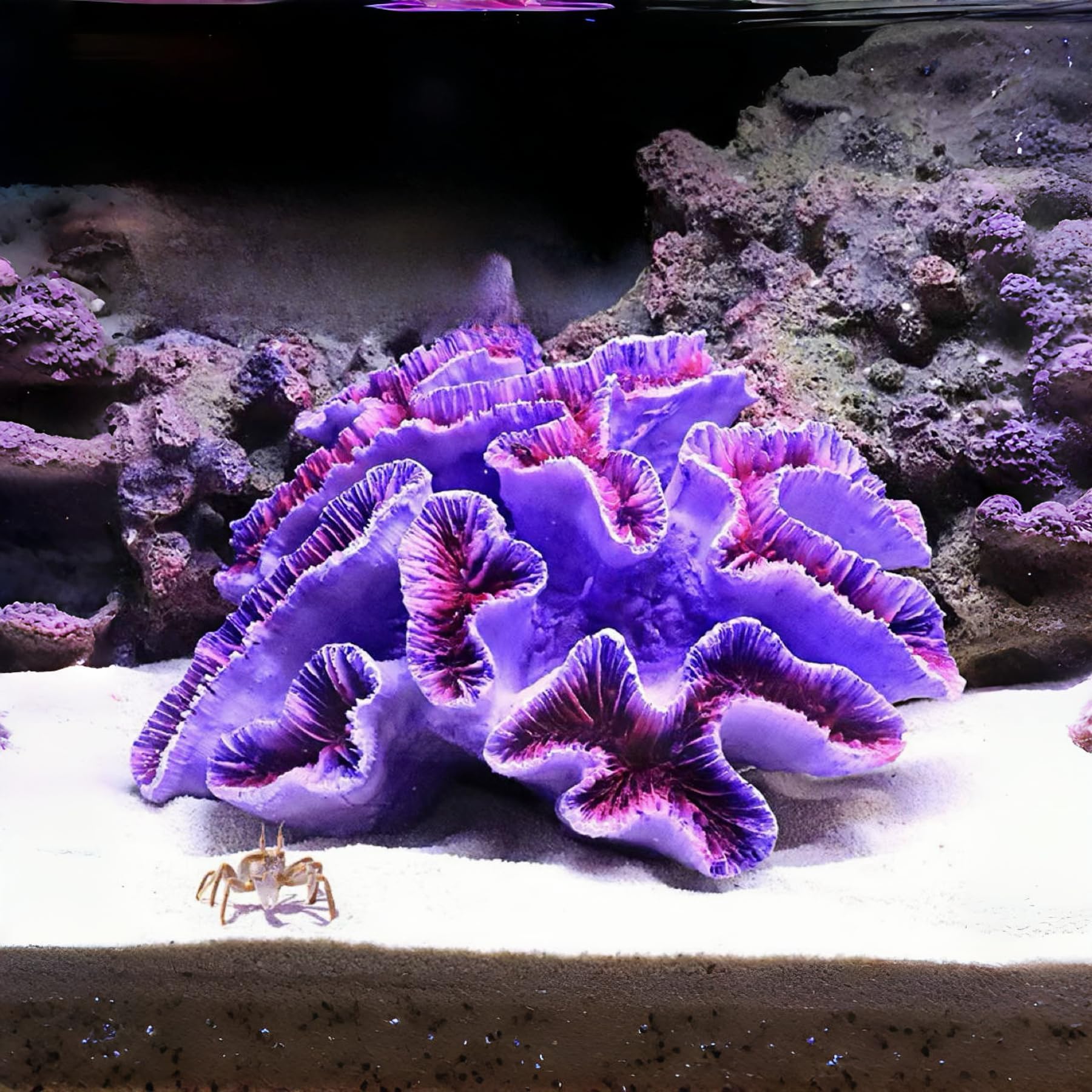 RVQIGYP Fish Tank Decoration Coral Aquarium Decoration Simulation Coral Decoration Fighting Fish Dodge Cave Betalie Fish Home Colorful Coral Mountain (Large Purple Coral), RQ.2344
