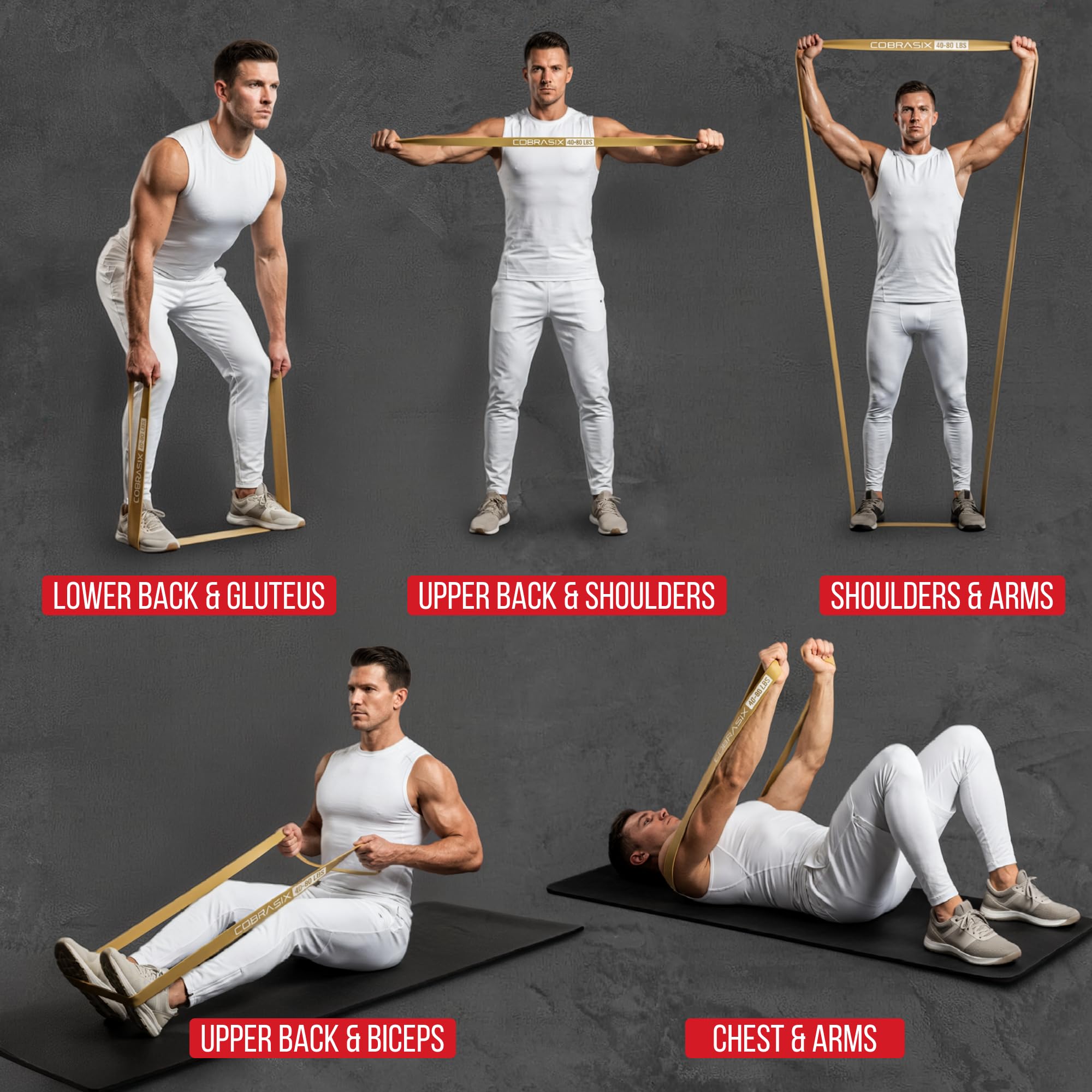 COBRASIX Bandas de resistencia para entrenar hombres y mujeres | Bandas de resistencia para entrenamientos en casa, levantamiento de potencia, estiramiento, WOD, entrenamiento de fuerza y dominadas