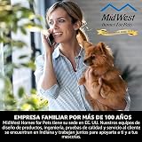 Ver la foto 7