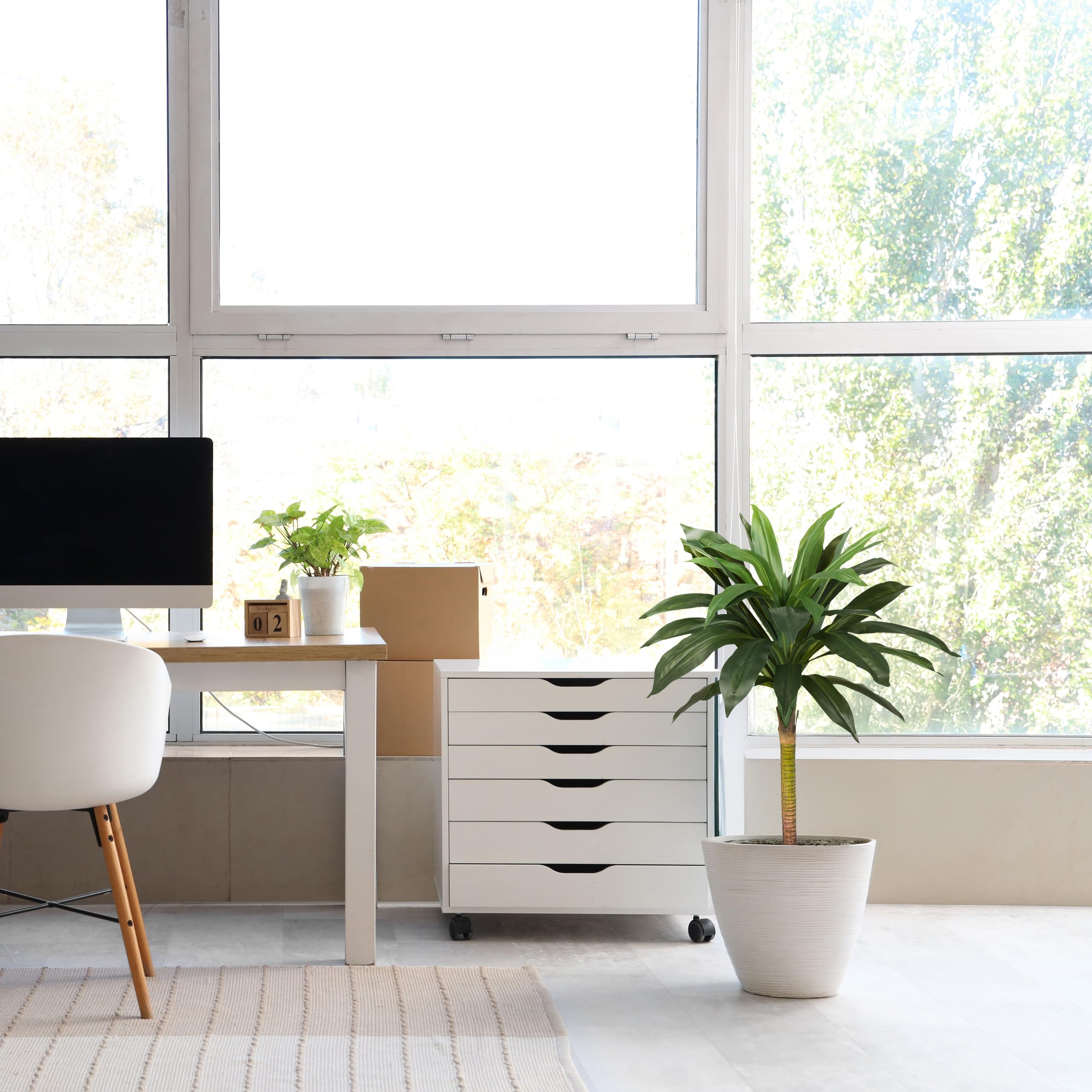 Amazon.de: hjh OFFICE Kunstpalme 85cm Dracaena I Knstlicher Drachenbaum  Kunstpflanze, Deko Palme fr Bro Wohnzimmer