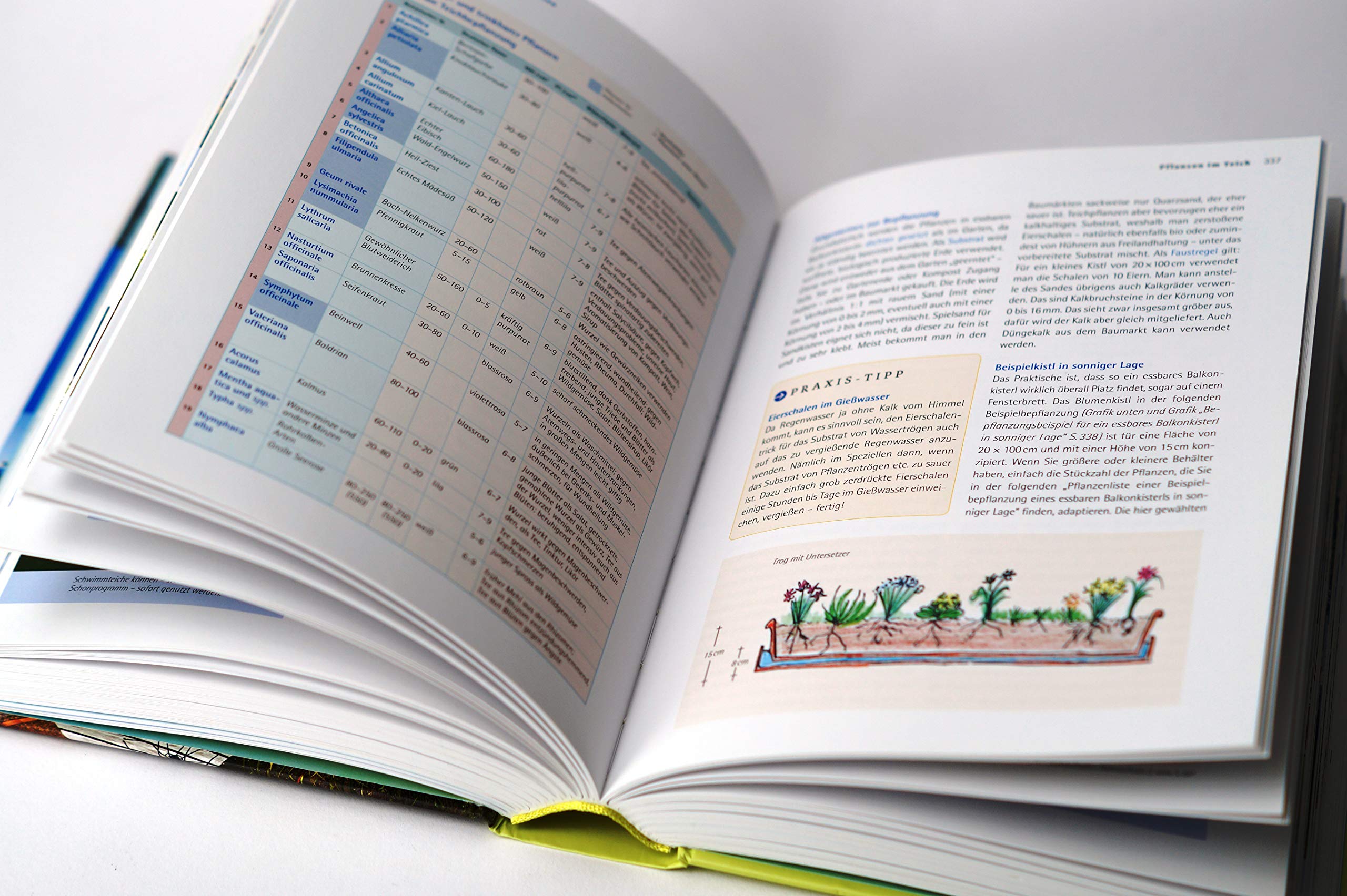 Handbuch Wasser im Garten. Wasser sparen, nachhaltig nutzen, Teiche und Biotope planen und anlegen