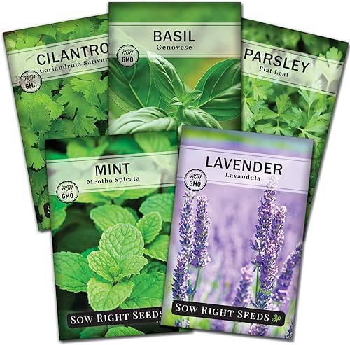 Sow Right Seeds - Colección de semillas de hierbas más popular para plantar - menta, lavanda, albahaca dulce, cilantro y perejil - 5 paquetes con