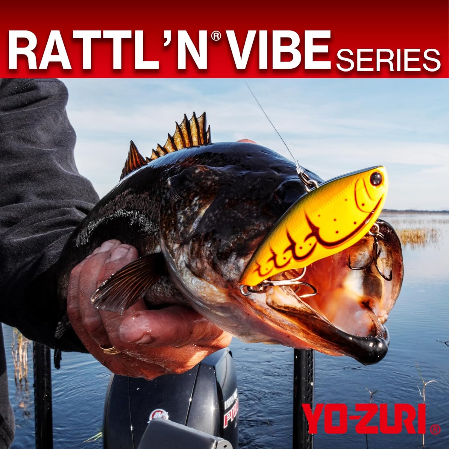 YO-Zuri Lure, Vibration, Rattling Vibration, Shimmy Fall, Bass Fishing, Fishing Gear, Sea Fishing, Freshwater Sea Bass