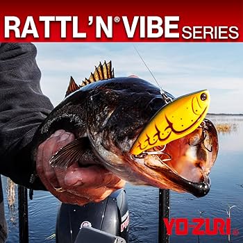 ルアー　2点売り　※バス釣り Autumn/Winter Lake Kasumigaura Water System] Shore Bass