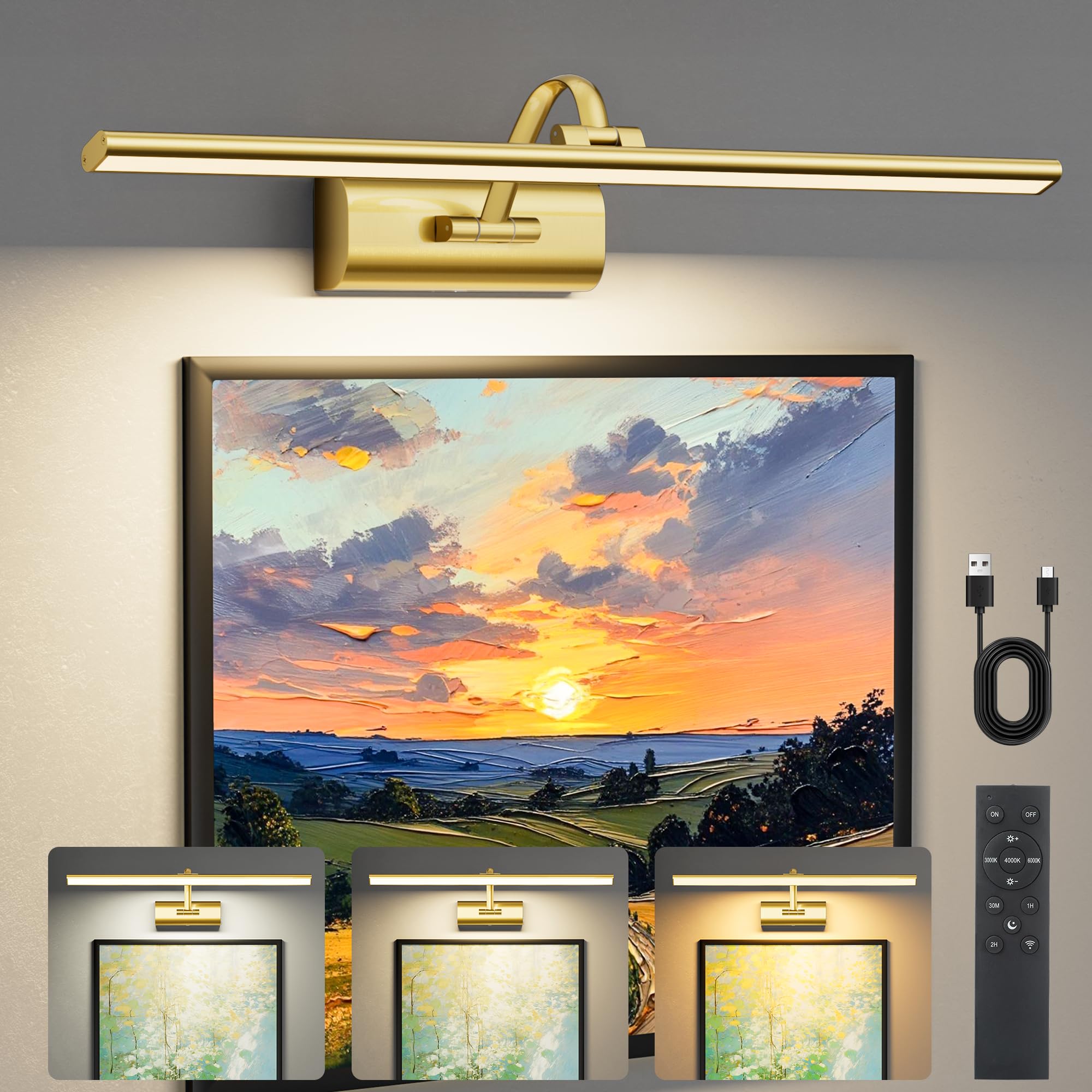AIFEI Luce per quadri, 61 cm, funzionamento a batteria, Glod