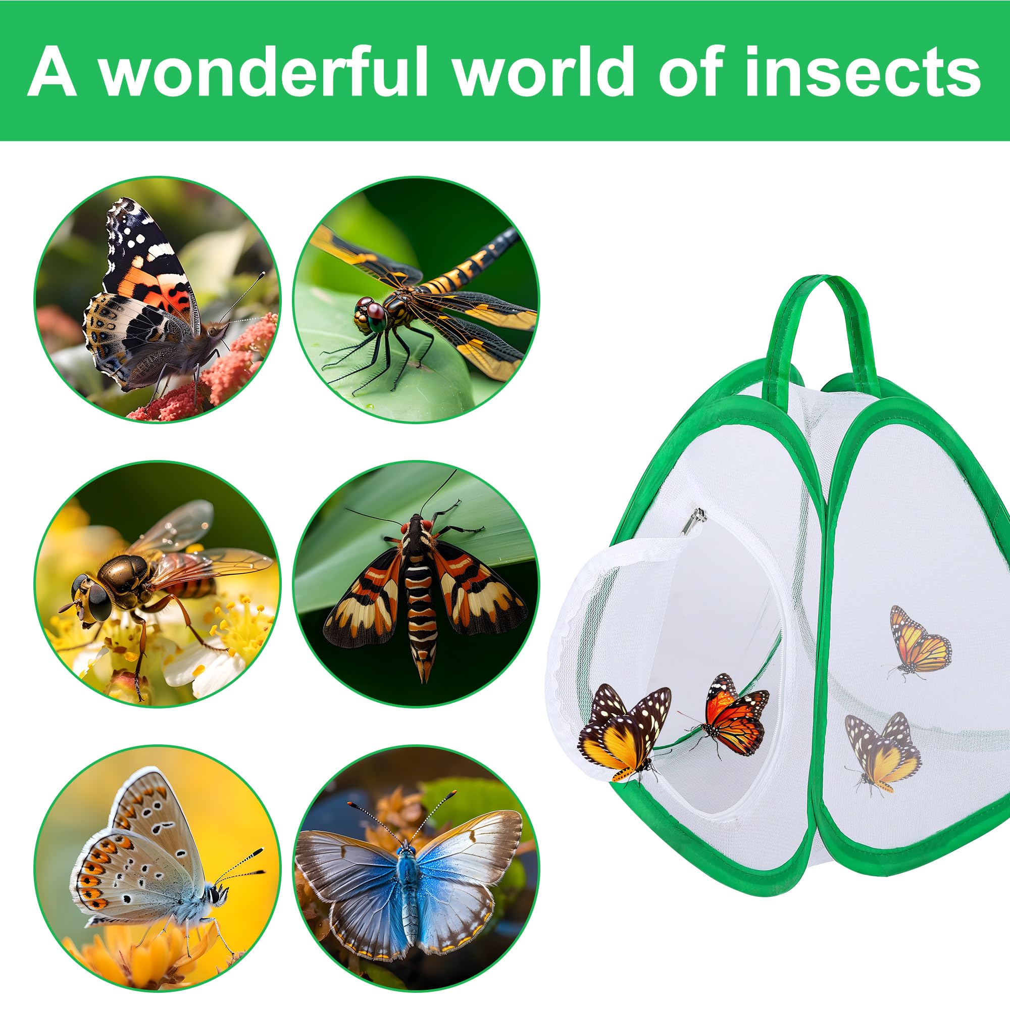 Gabbia Per Farfalle Pieghevole - Habitat Portatile Per Insetti E Falene - Foto 8