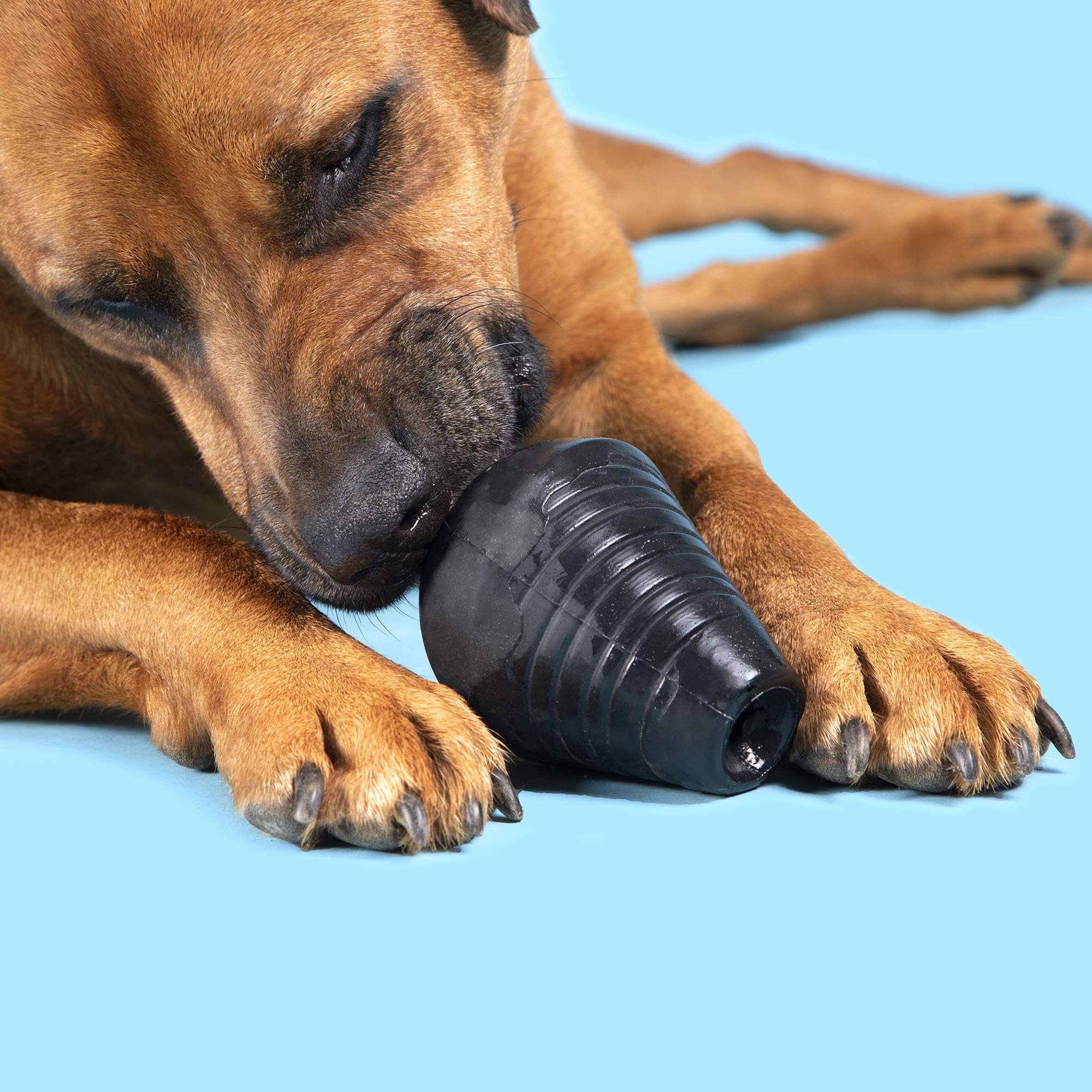 barkbox aggressive chewer