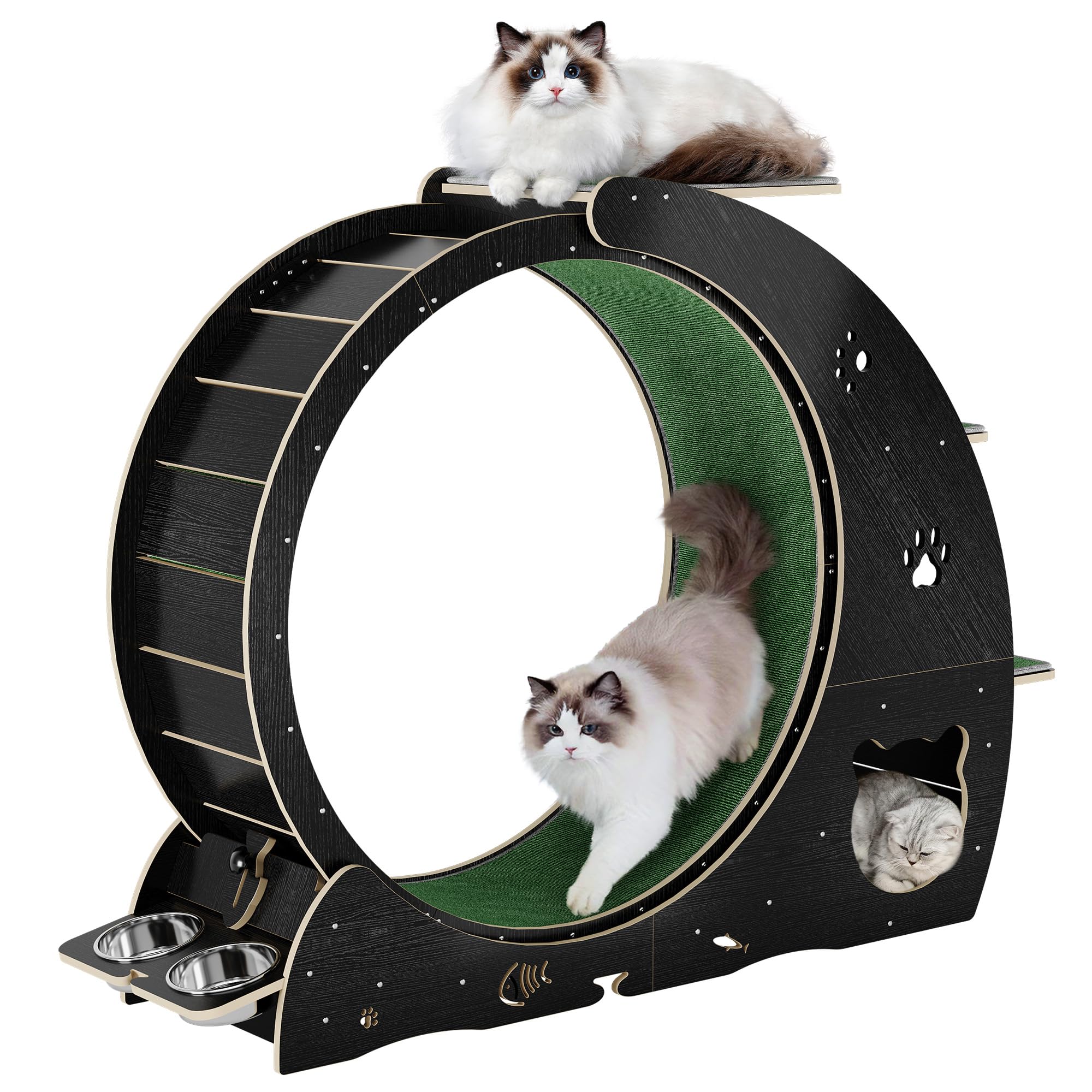 - Quiet Cat Exercise Wheel for Multiple Cats, 48-Inch Large Spinner with Built-in 3-Level Jumping Tower - Indoor Cat Running Wheel & Play Gym for Active Pets, Apartment Friendly