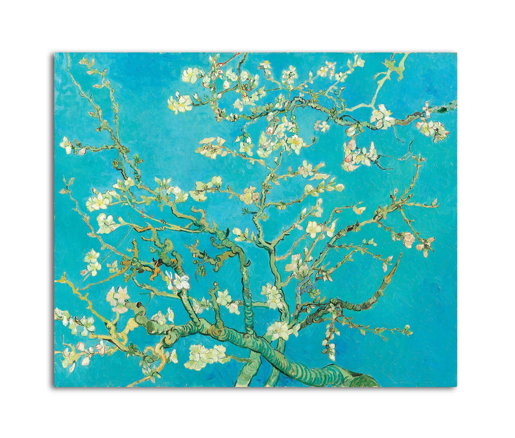 Tamatina Vincent Van Gogh Canvas Painting | Almond Blossom | Modern Abstract Art Unframed Painting for Home décor|Size - 13X11 Inches.p124