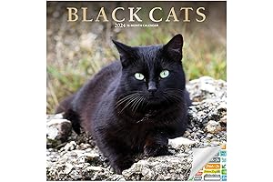 Black Cats Wall Calendar 2023: Premium Black Cats Calendar with Exclusive Stickers...