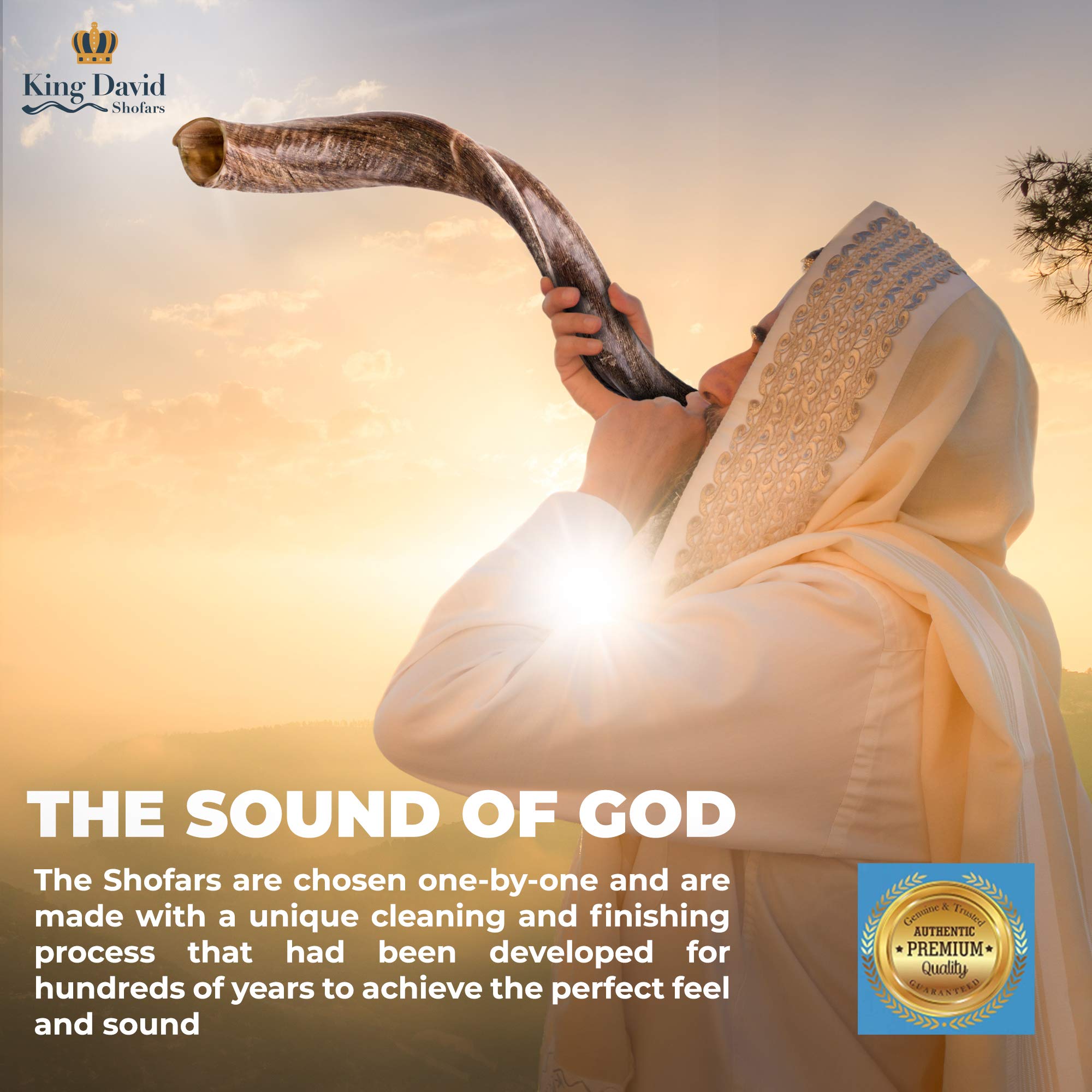 Shofar Horn Instrument Shofar Angels Musical Instrument Horn Gift From Israel Kosher