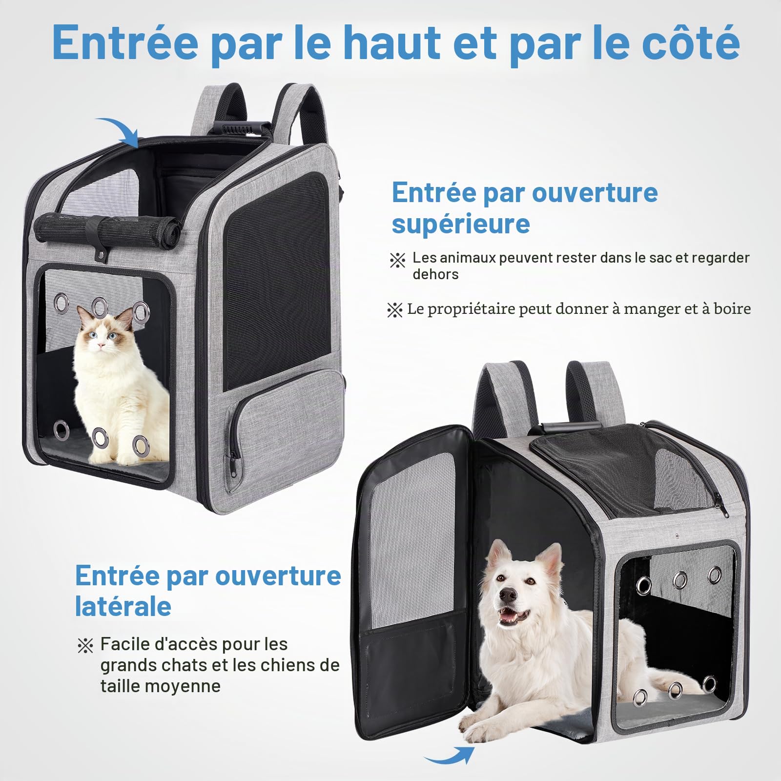 Sac à Dos de Transport pour Chat jusqu'à 15 kg, pour Chien jusqu'à 12 kg | Le plus grand sac à dos chat, ceinture rembourrée, soutien lombaire, dos alvéolé intégral, fenêtre acrylique transparente