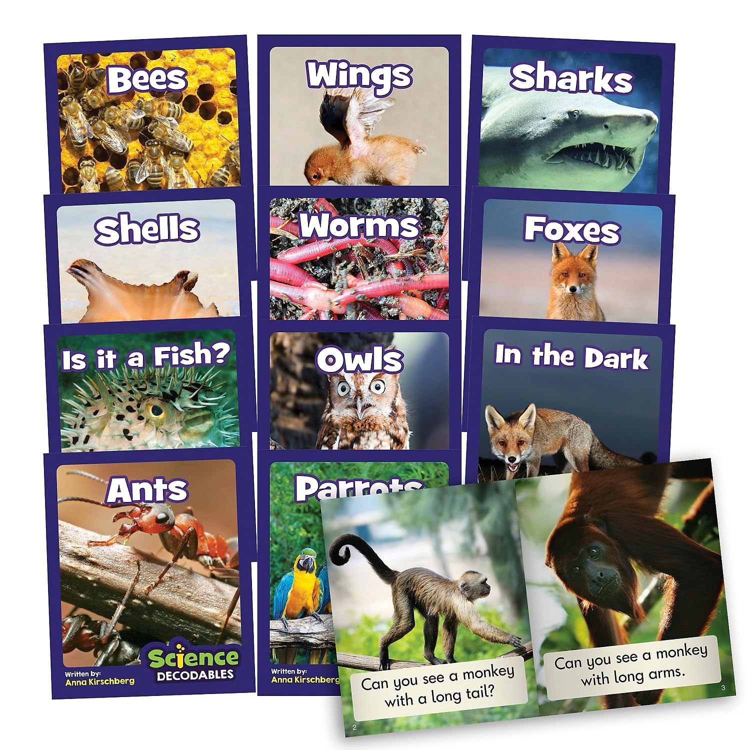 Junior Learning Science Decodables Phase 3 Non-Fiction, Multicolor, onse Size