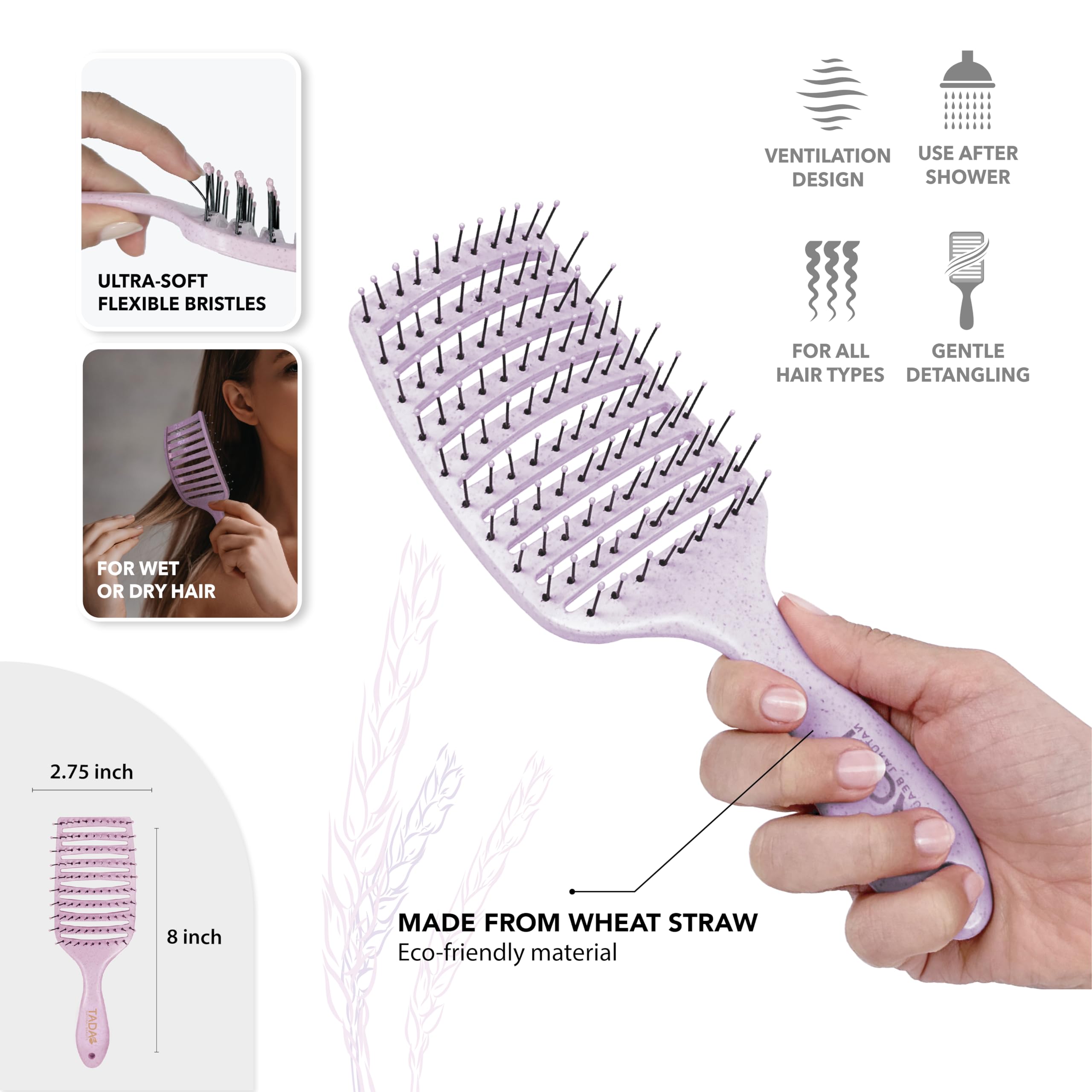 TADA - Juego de cepillo desenredante natural para todo tipo de cabello rizado, grueso, ondulado y fino, juego de cepillos para el cabello para mujeres, hombres y niños (3 unidades, lavanda)