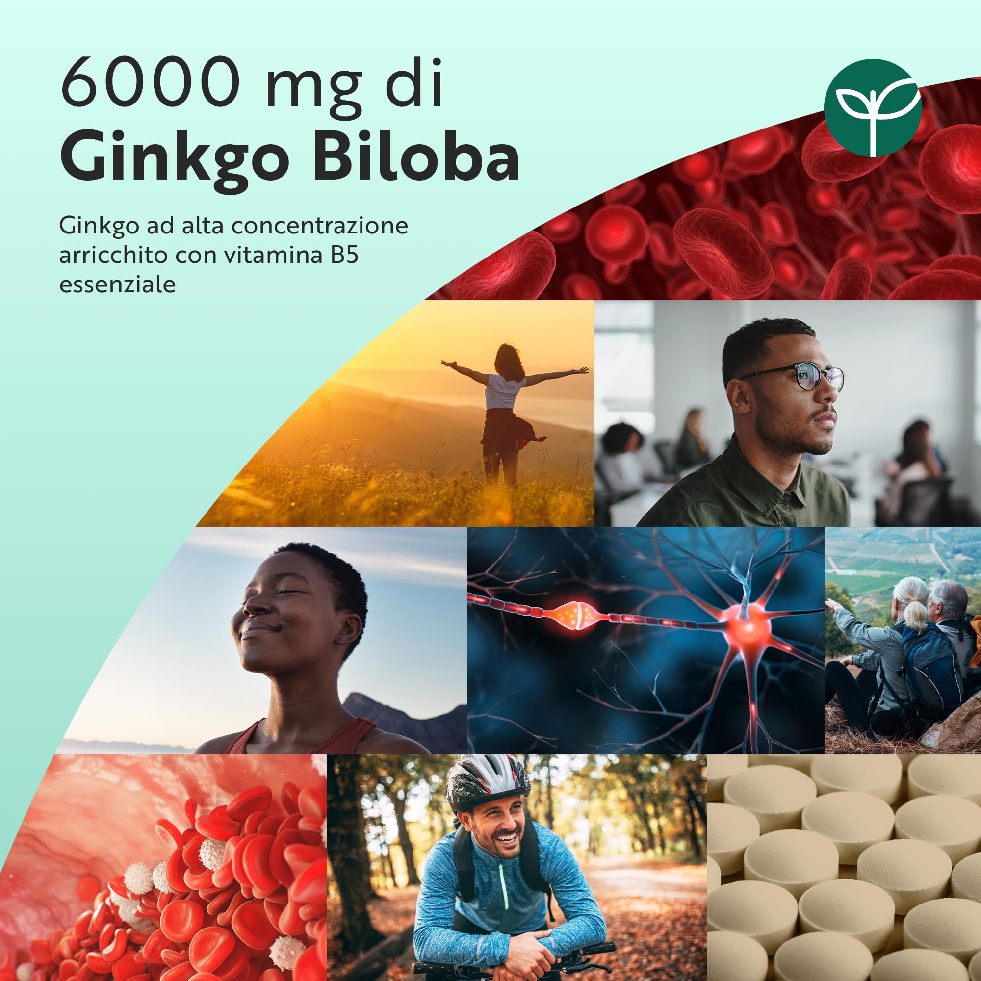 Nutravita Ginkgo Biloba 6000 mg – 365 Compresse Vegane per 1 Anno – Ginko Biloba Integratore Alimentare con Vitamina B5 (Acido Pantotenico) – Estratto 50:1