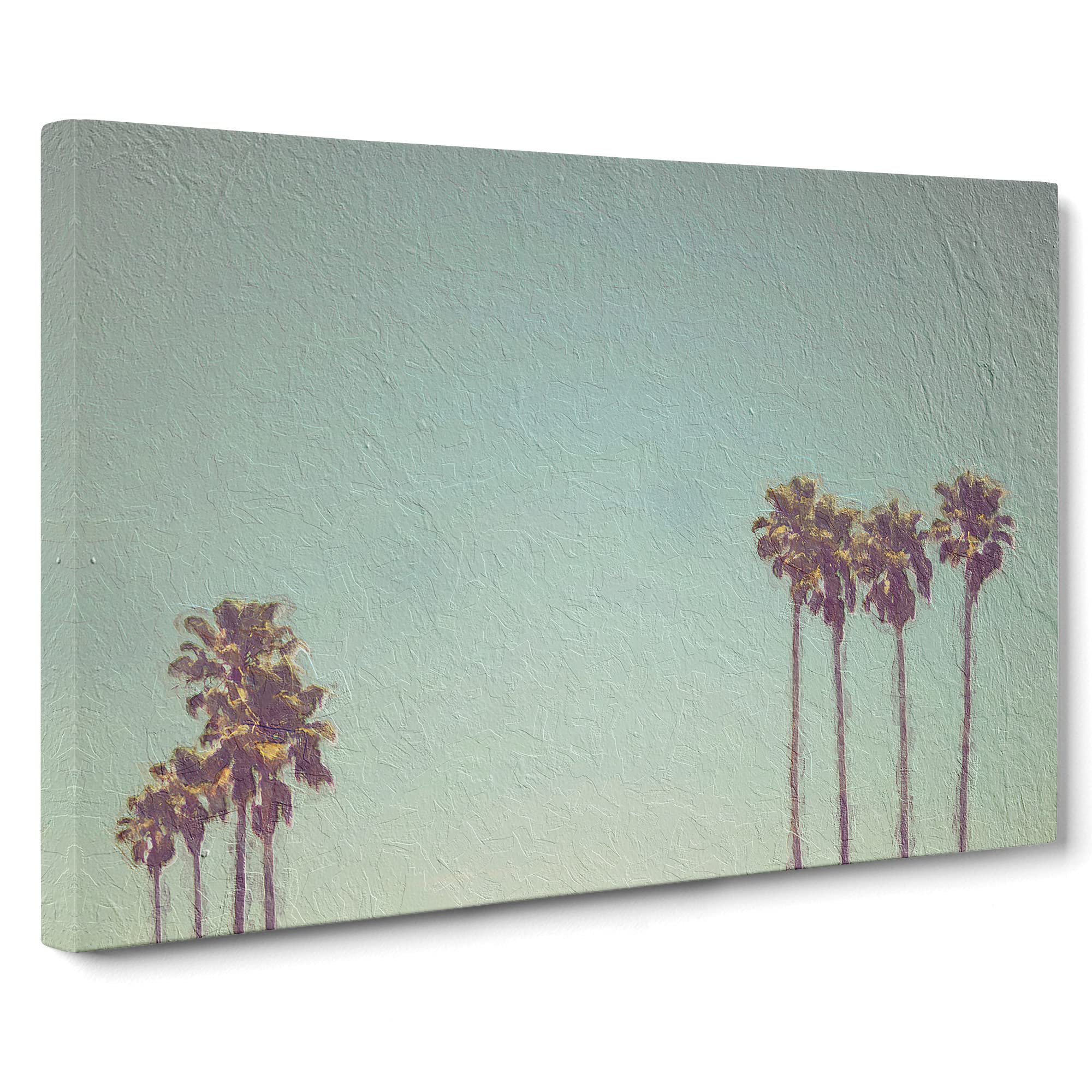 Palm Trees In Santa Cruz California Canvas Print, Mixed, 25L x 50W cm