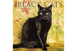 Just Black Cats 2024 Calendar