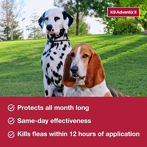 Miniatura 4 de K9 Advantix II Flea and Tick Prevention for Extra-Large Dogs