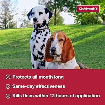 K9 Advantix II Large Dog Vet-Recommended Flea, Tick & Mosquito Treatment & Prevention | Dogs 21 - 55 lbs. | 4-Mo Supply