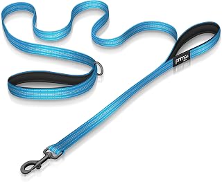 Reflective 6 Feet Nylon Dog Leash with Padded Double Handles, 2 Heavy Duty Neoprene Handles for Control Safety Training Durable Traffic Handle, for Small to Medium Dog (Medium - 3/4" Width, Aqua)