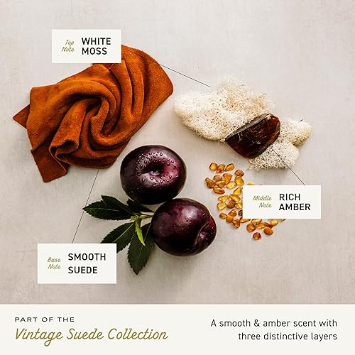 Miniatura 6 de Cremo - Gel de baño rico en espuma, gamuza antigua y notas de musgo blanco y ámbar intenso, 16onzas líquidas