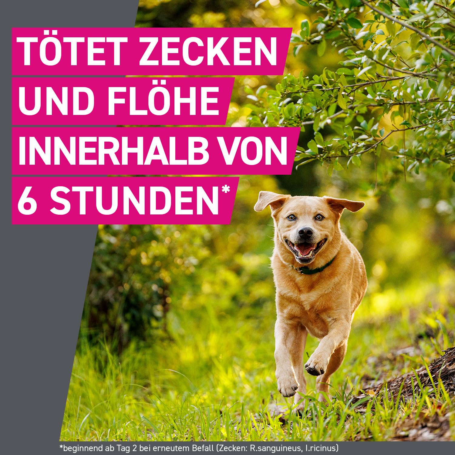 FRONTLINE TRI-ACT Hund XL gegen Zecken, Flöhe & Mücken (40 bis 60 kg) | 6+3 Pipetten (2er Pack) für bis zu 9 Monate Schutz - wasserfest - perfekt auf Reisen - für große Hunde