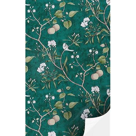 Amazon 剥がせる カッティング リムーバブル 壁紙 シノワズリ 花 壁紙シール 壁画 リビングベッドルームキッチン装飾用 ヴィンテージ 花の木の鳥 壁紙 グリーン 18x394inch ウォールステッカー オンライン通販