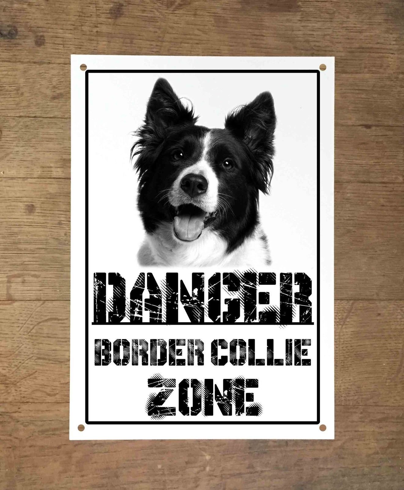 Cartello Metallo 'Attenti Al Cane' Border Collie - 15x20 Cm - Decorazione Da Esterno - Foto 6