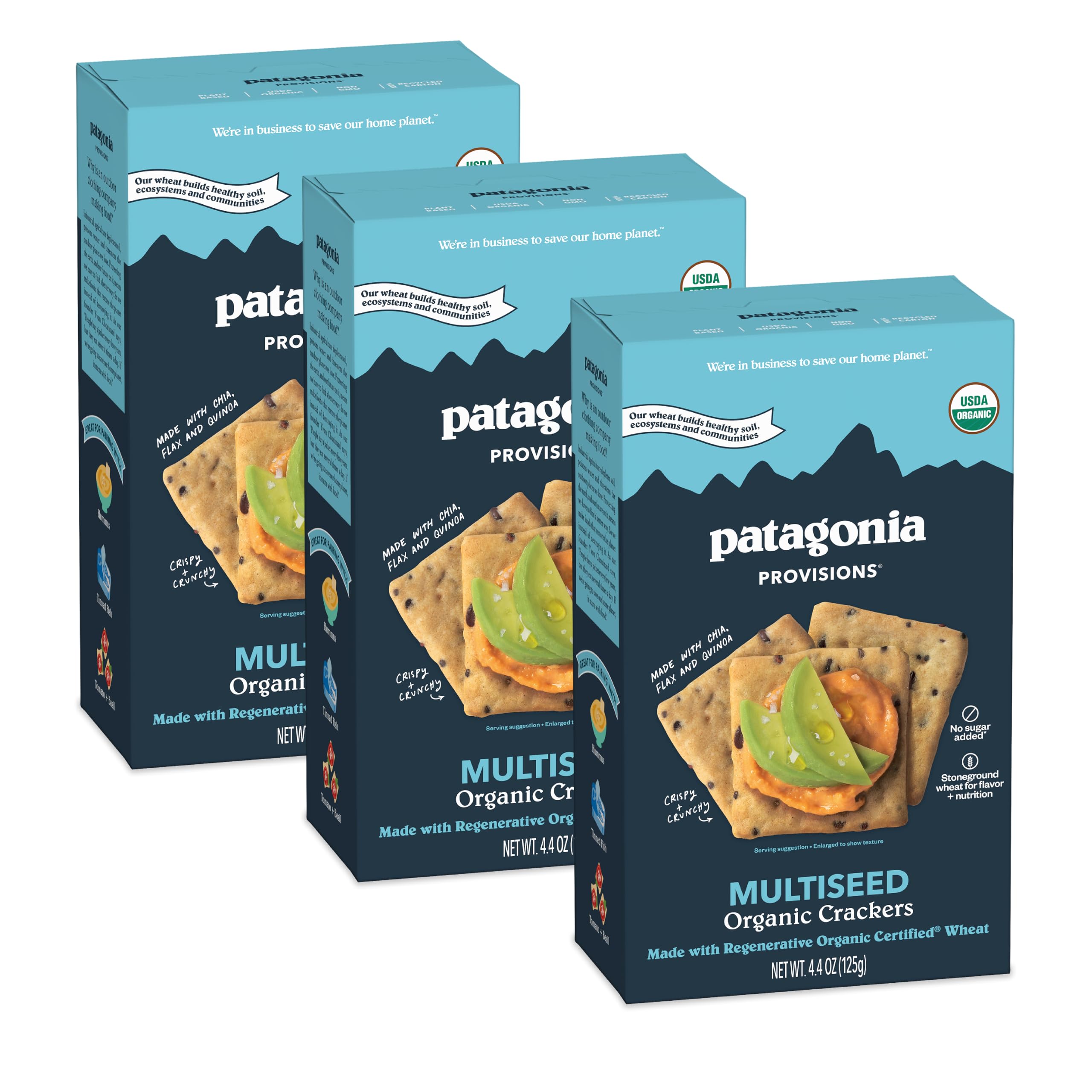 Patagonia Provisions Organic Multiseed Crackers (3 Pack) – 3g Plant Protein Per Serving – Made with Wheat Flour & Sea Salt – Non-GMO, No Added Sugar - Crispy & CrunchyUSDA Organic
