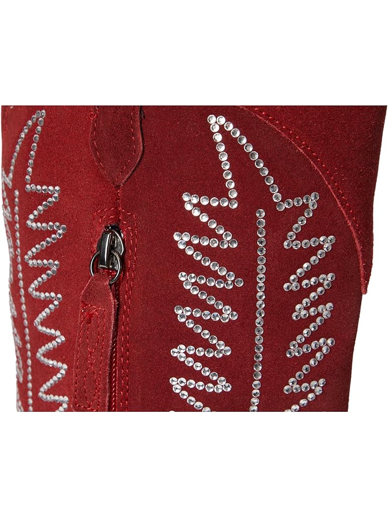 Red Dingo Double Take