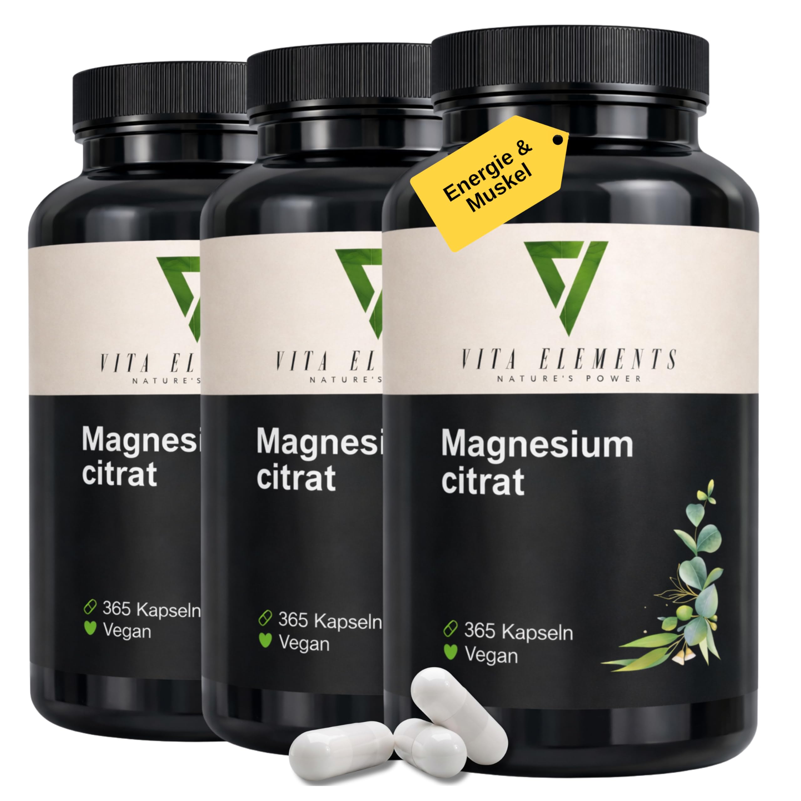 Vita Elements Premium Magnesiumcitrat - 365 Kapseln - 360mg elementares Magnesium - 4 Monate Vorrat - Laborgeprüft - Vegan - Ohne Zusätze – Hochdosiert